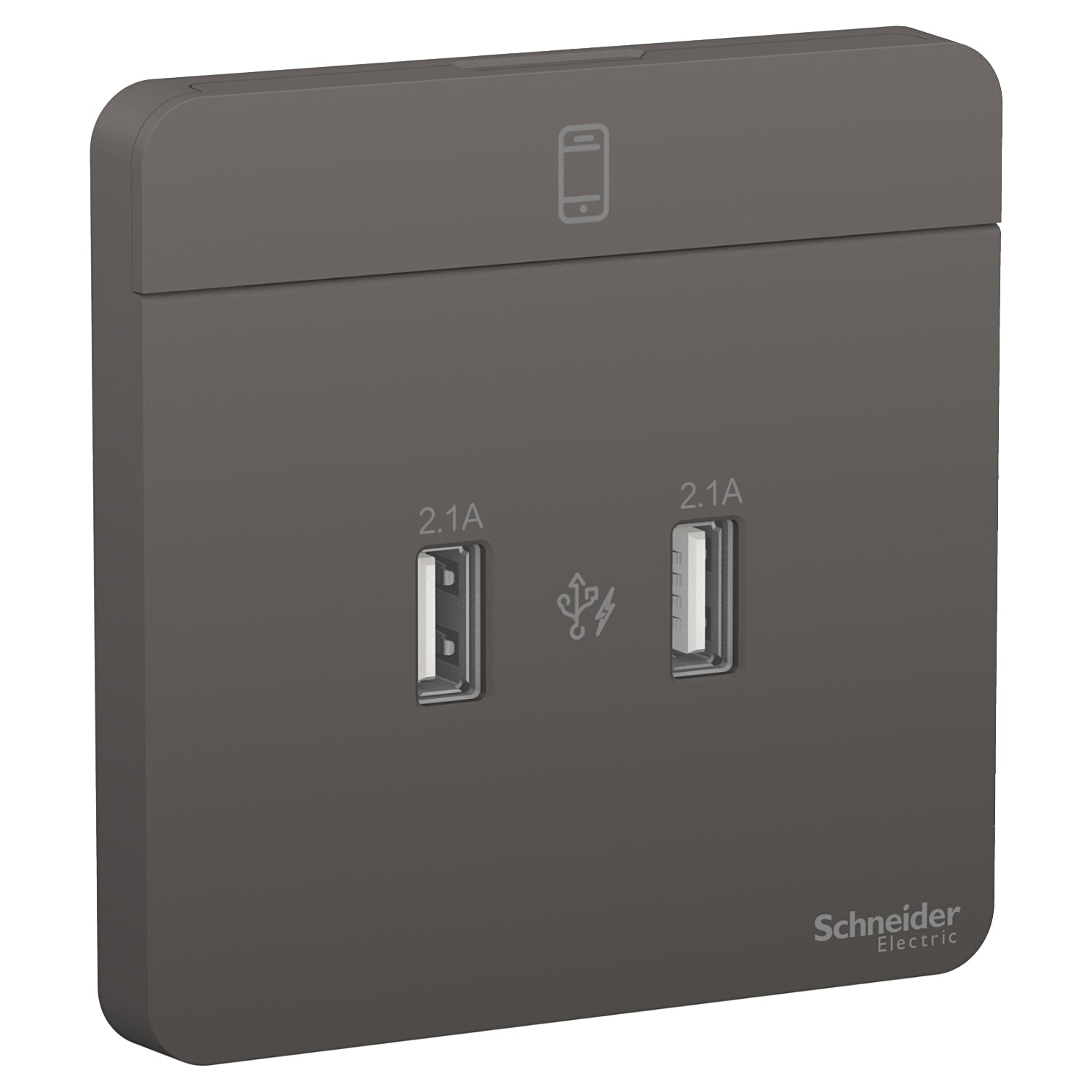 E8332USB_DG 
AvatarOn, 2 USB charger, 2.1A, Dark Grey